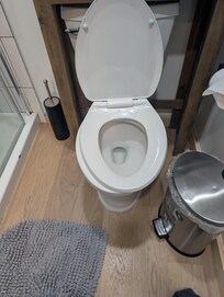 Not only was there pubic hairs in the toilet bowl, but the toilet seat was as seen.