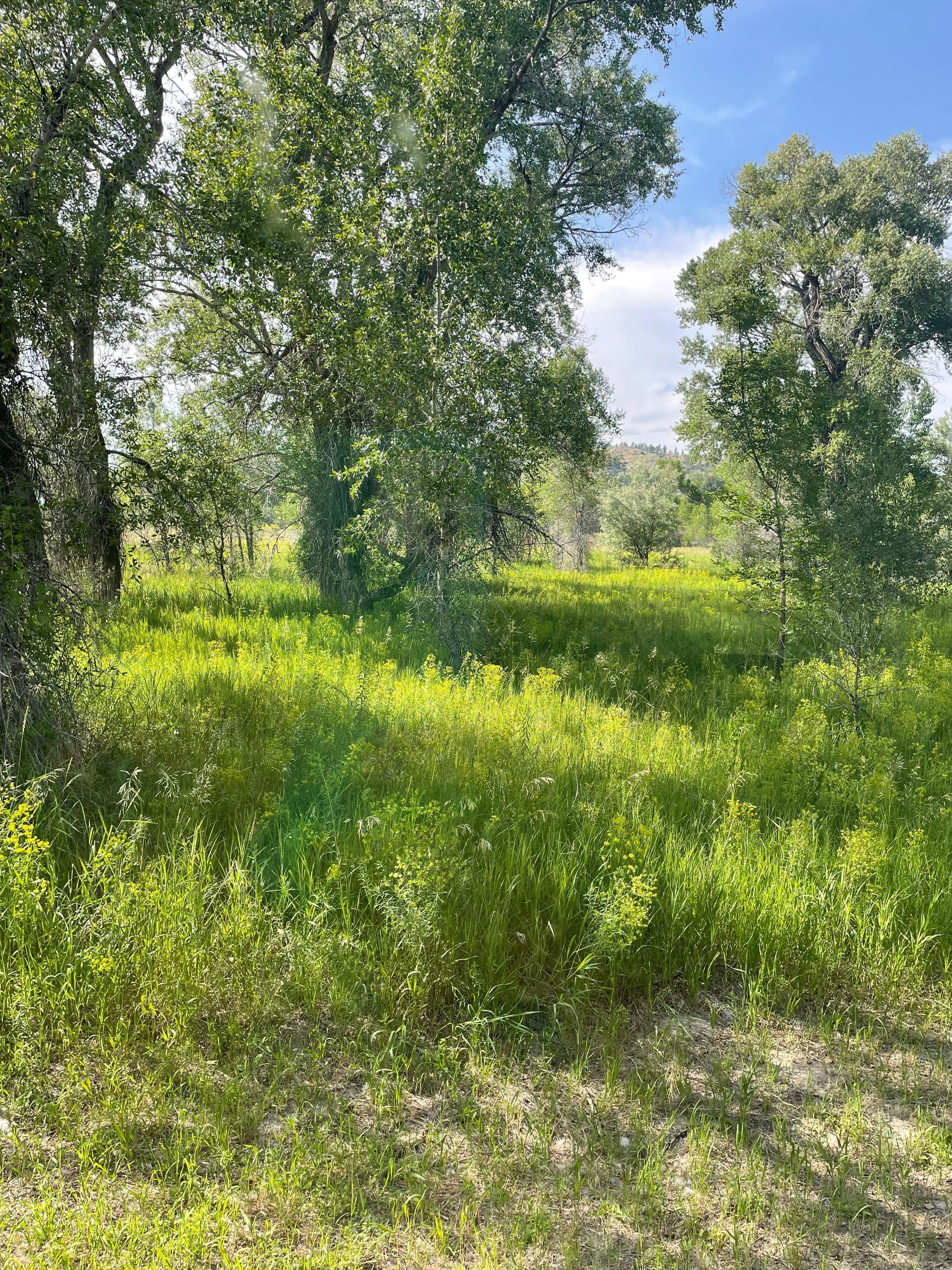 View from window 