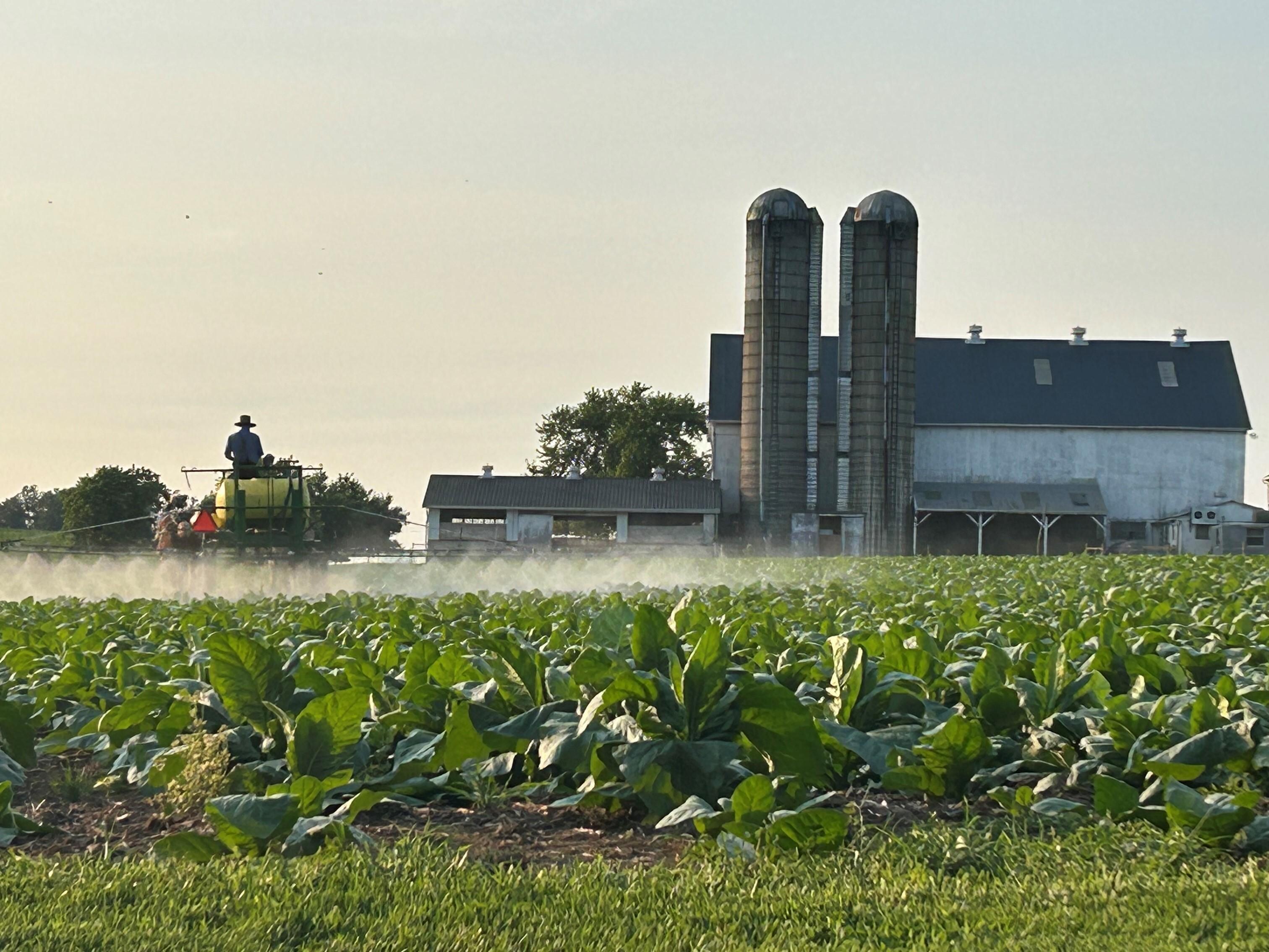 farm next door