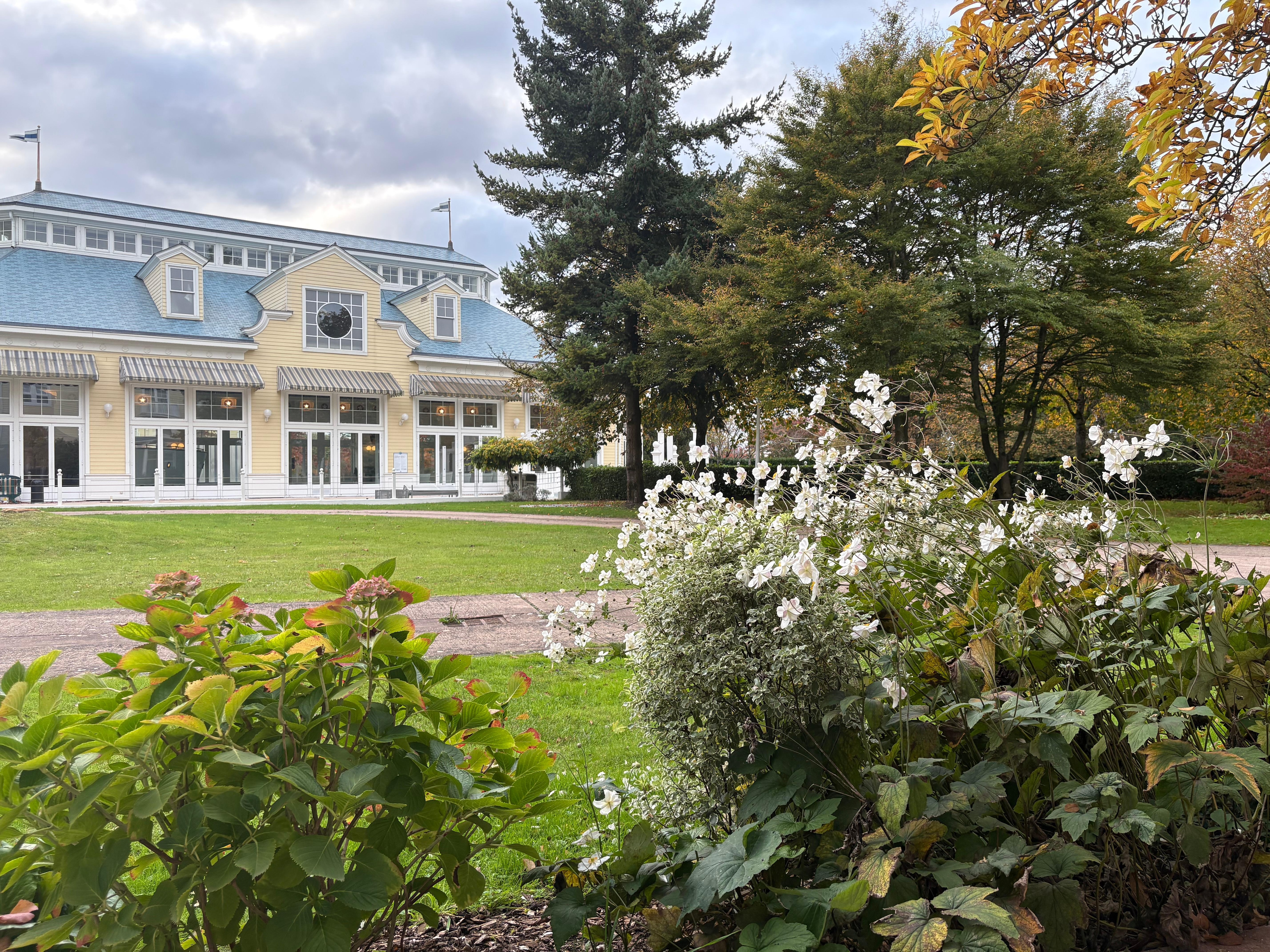 テラス部屋からプールを望む