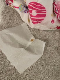 Blood on tissue that under a top sheet of a partially made bed