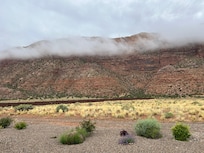 View from back patio.