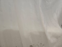 Black mold on shower curtain.
