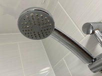 Dirty shower head