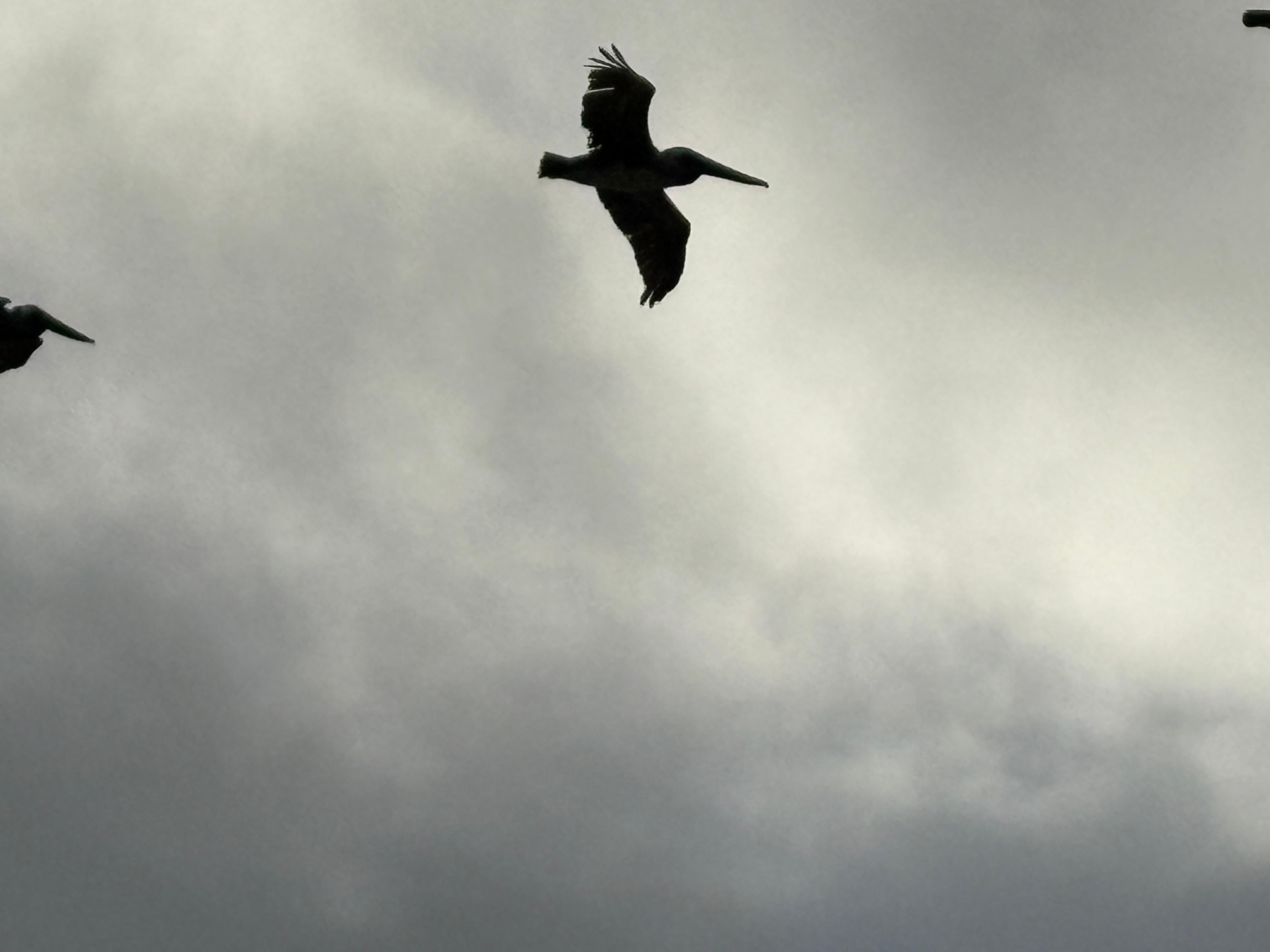 Observation deck 4th floor 