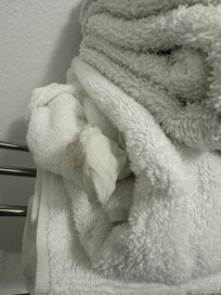 Toilet tissue stuffed in between the crusty hard crunchy towels