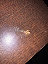 We saw several live roaches and some dead. Also saw live roach crawling above the food at breakfast
