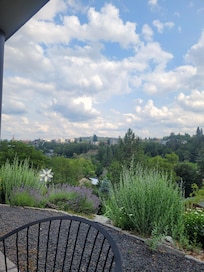 View from patio