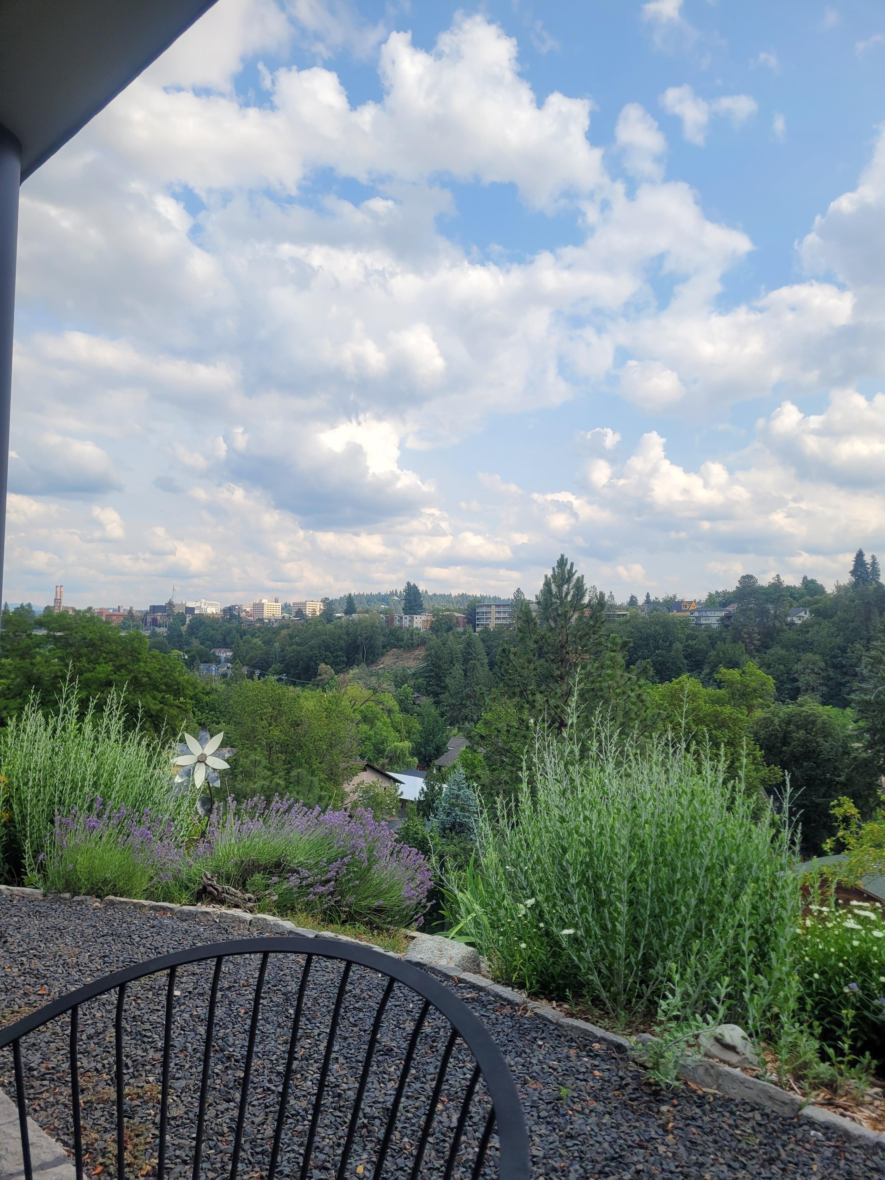 View from patio
