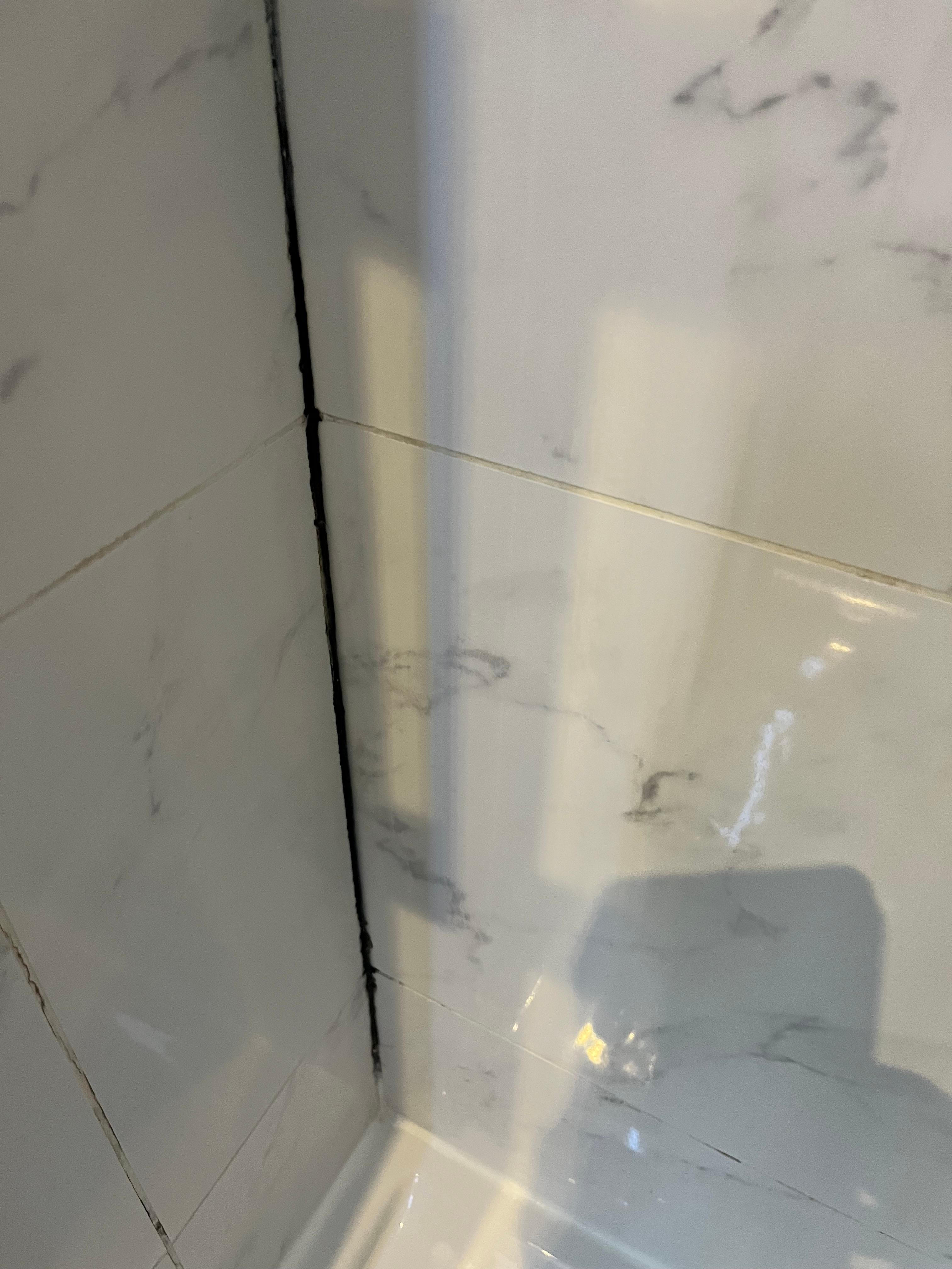 Moisissures bas de douche 