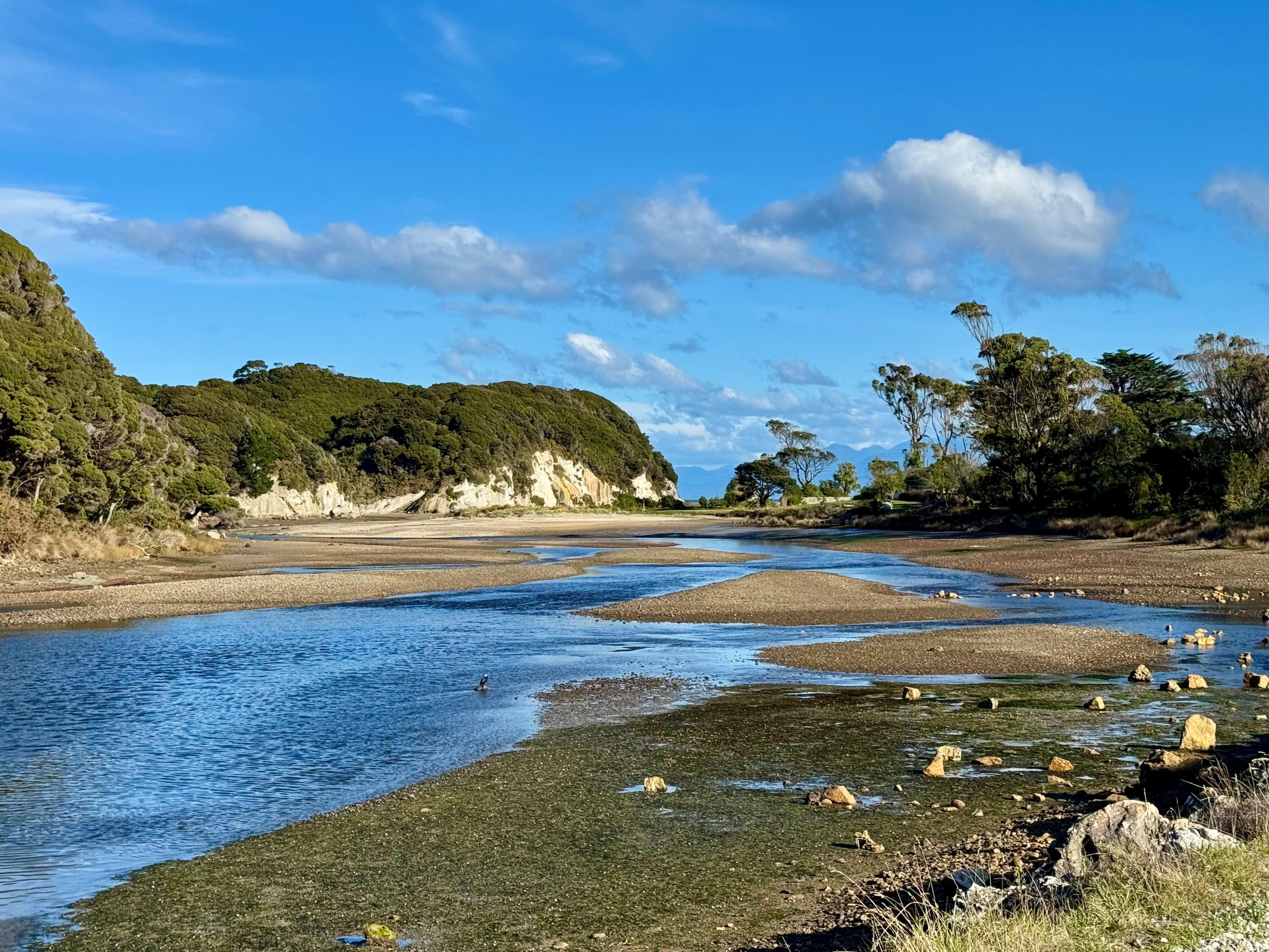 Near Farewell Spit, Collingwood