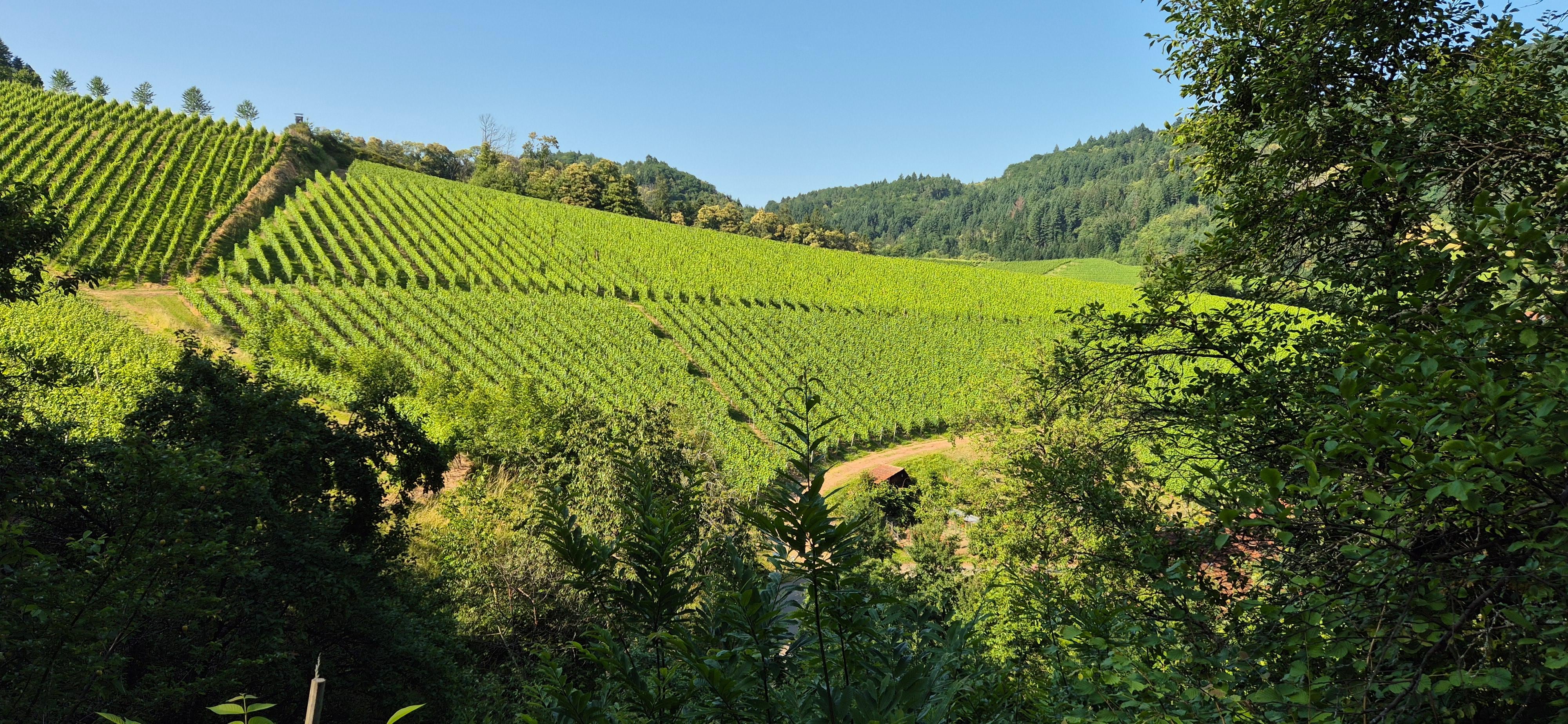 Paysage de rêve 
