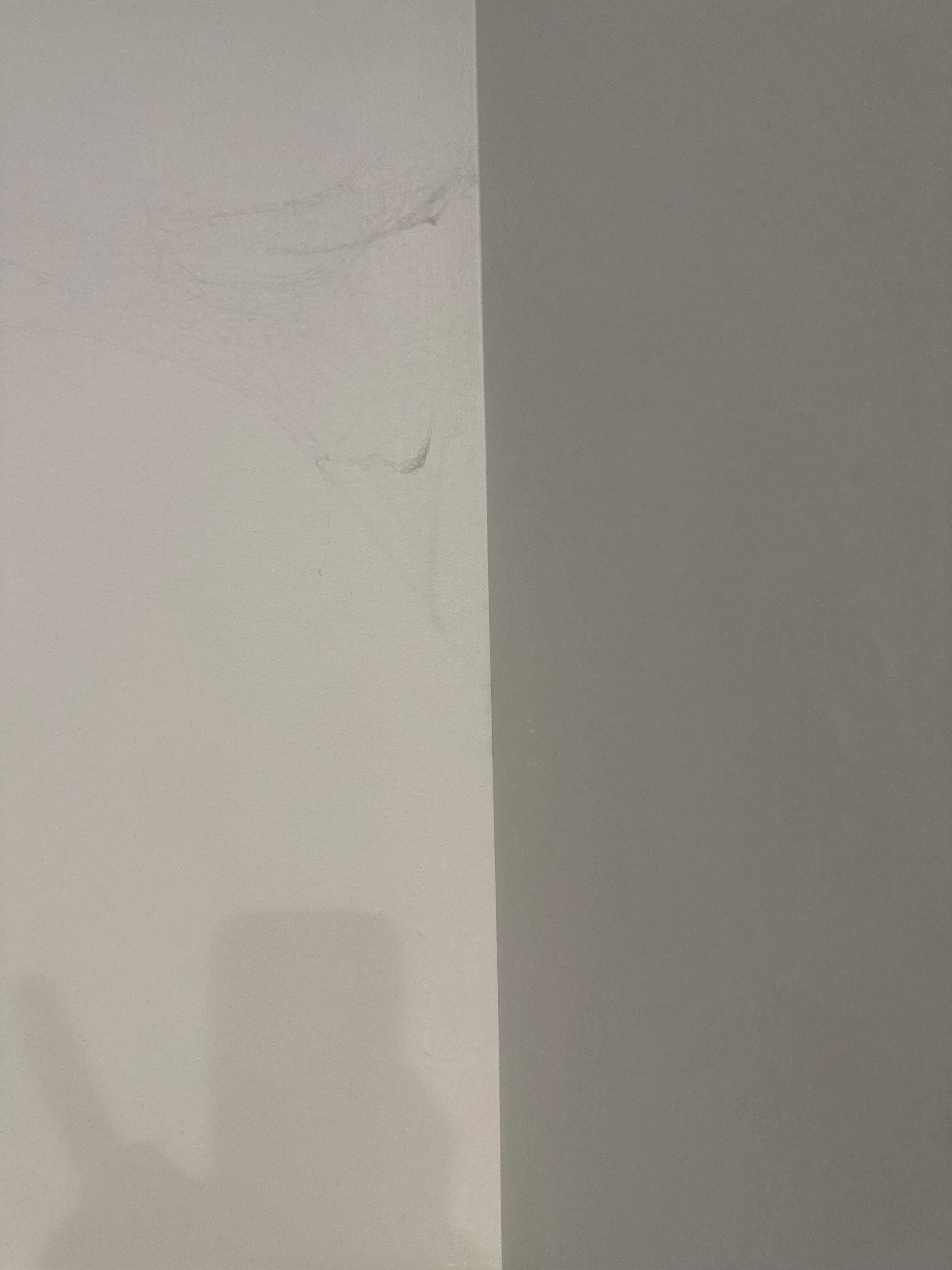 Spiders and webs in bedroom.