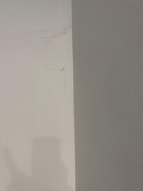 Spiders and webs in bedroom.