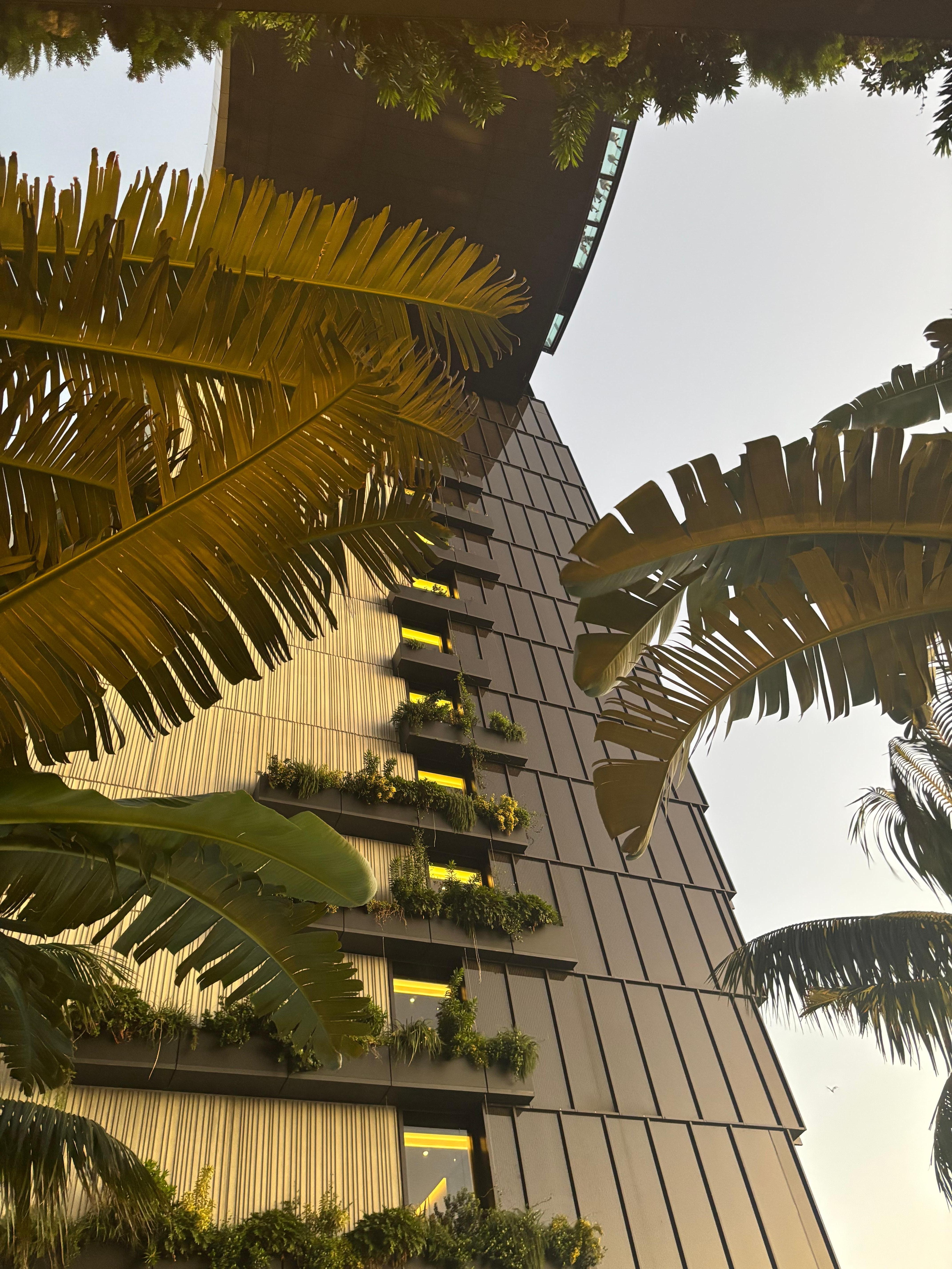 From leisure deck looks up at sky deck 