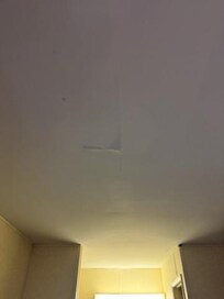 Ceiling pelling off, wet.