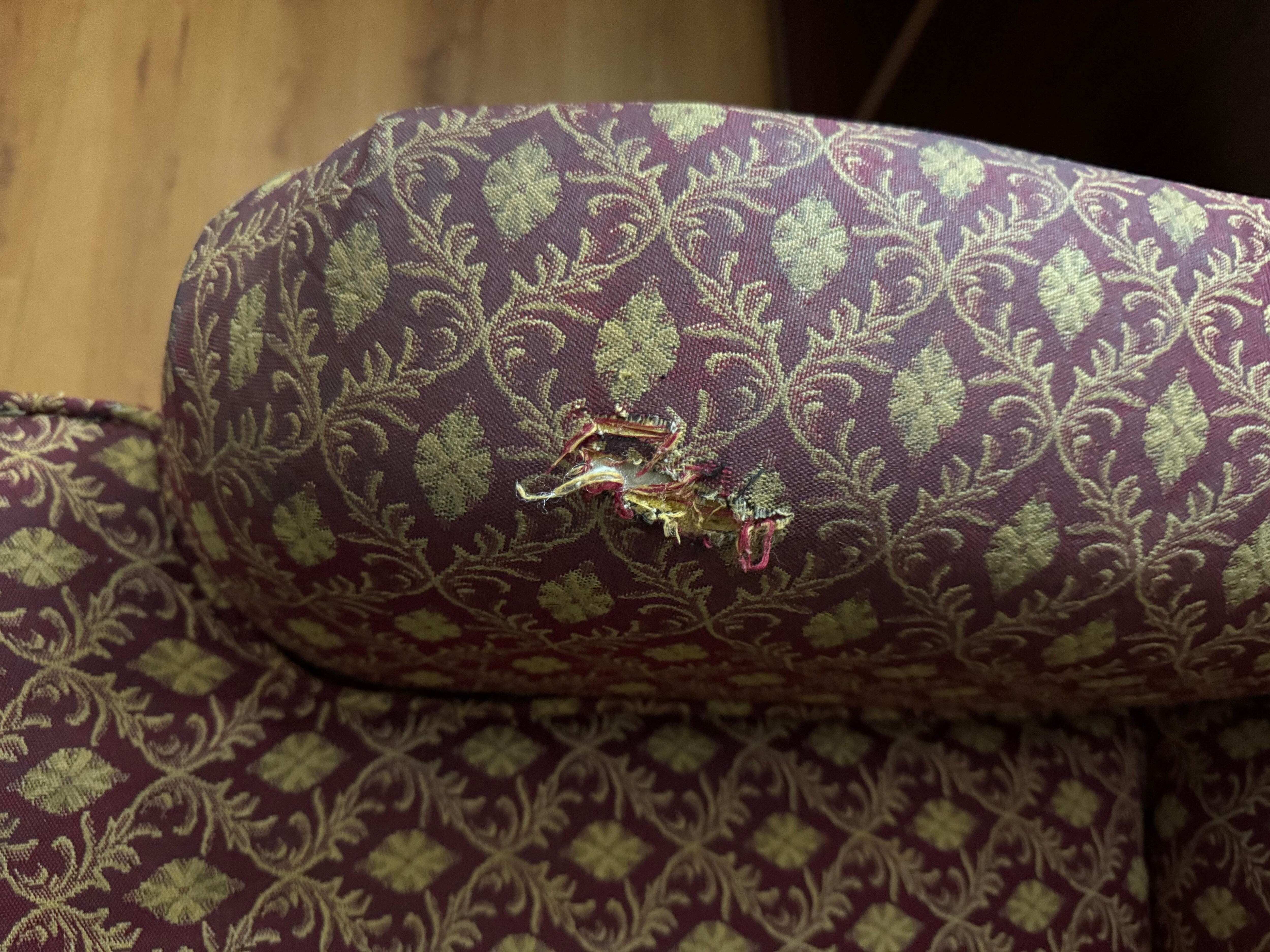 Horrible dirty sofa 
