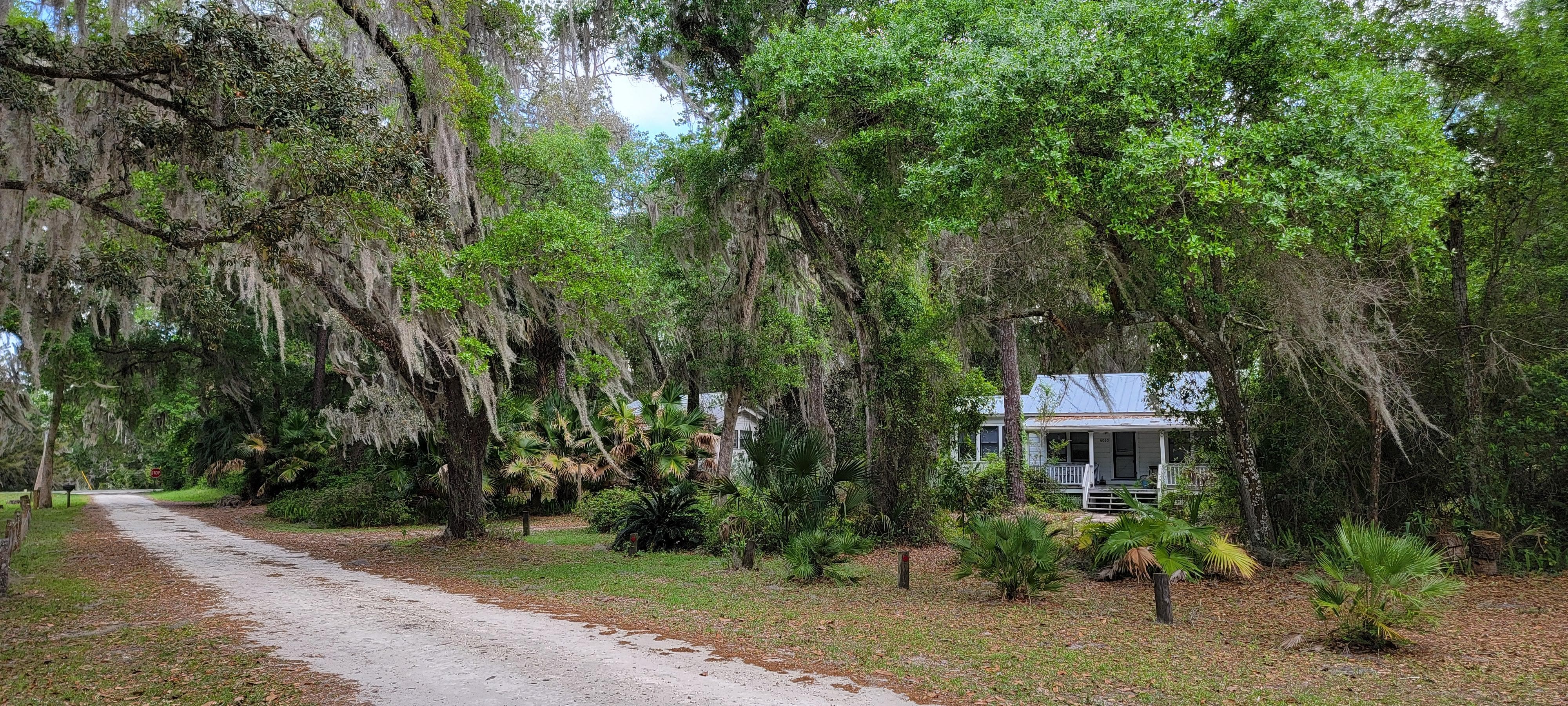 Country lane shared with a few other cottages and a picturesque little cemetery. 
