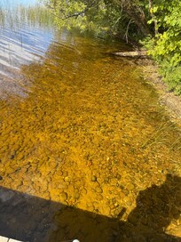 Water from the dock