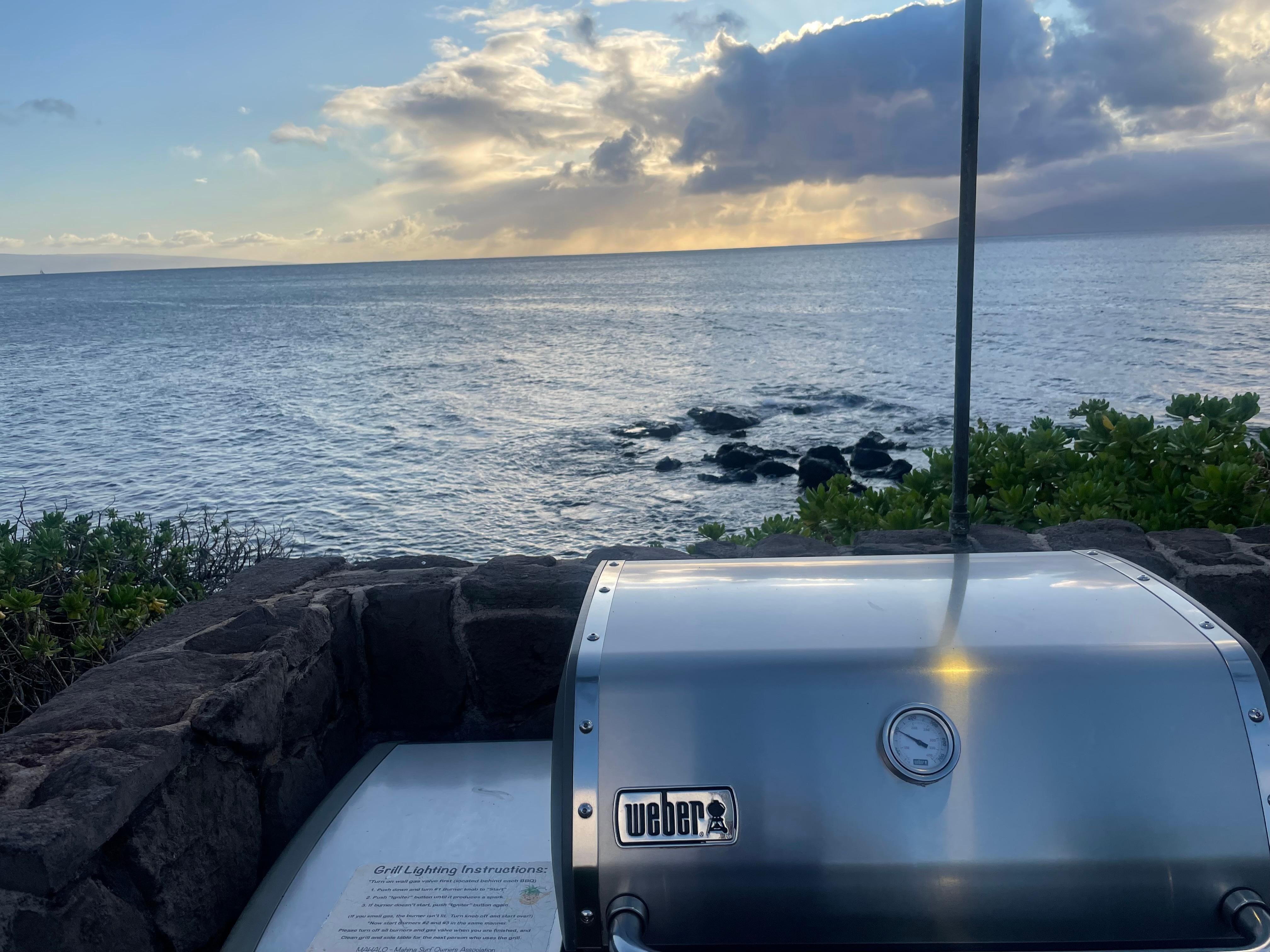 View from the BBQ