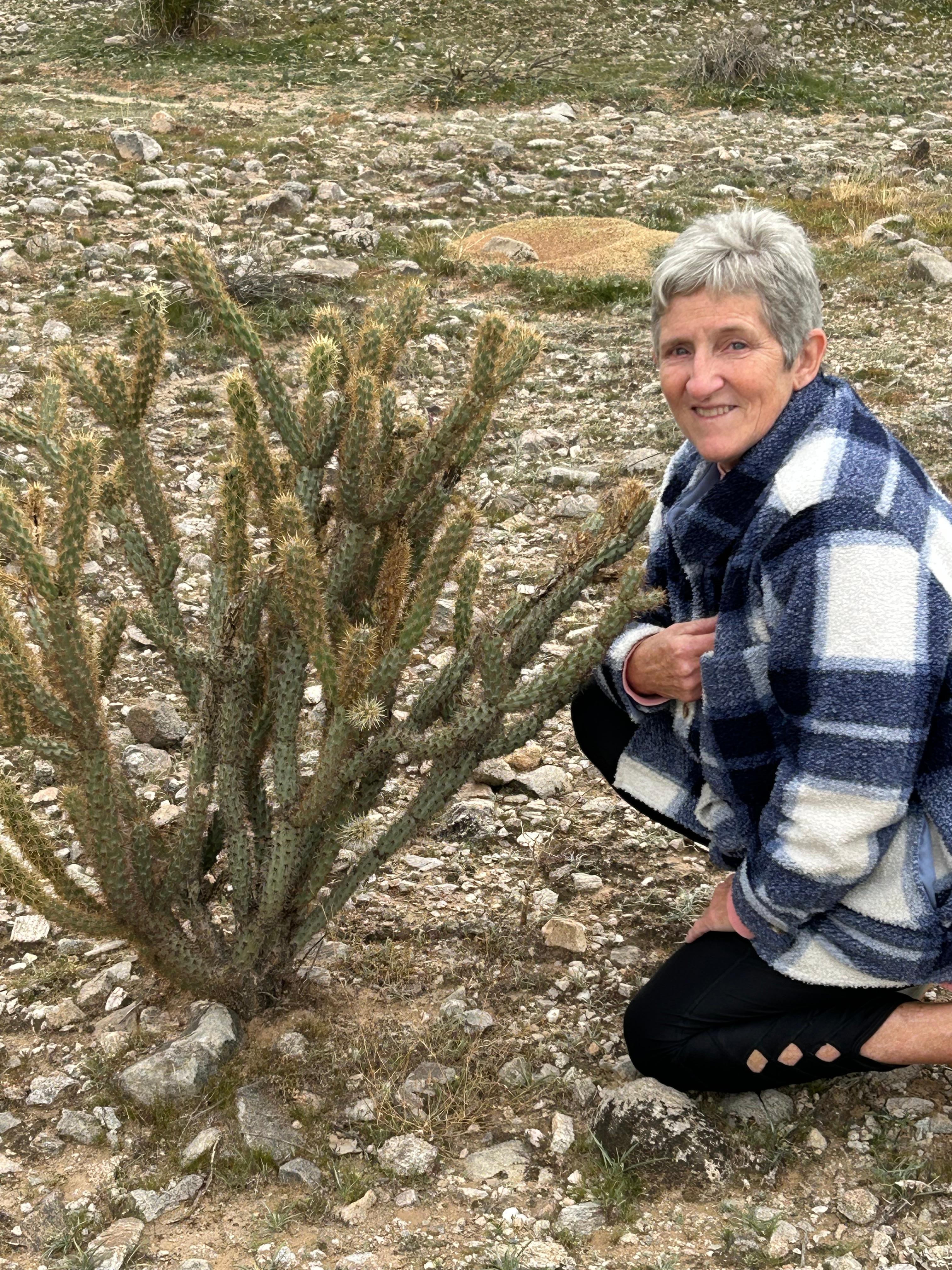 Skyline Park Reserve
