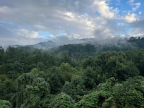 the view
