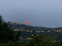 The view