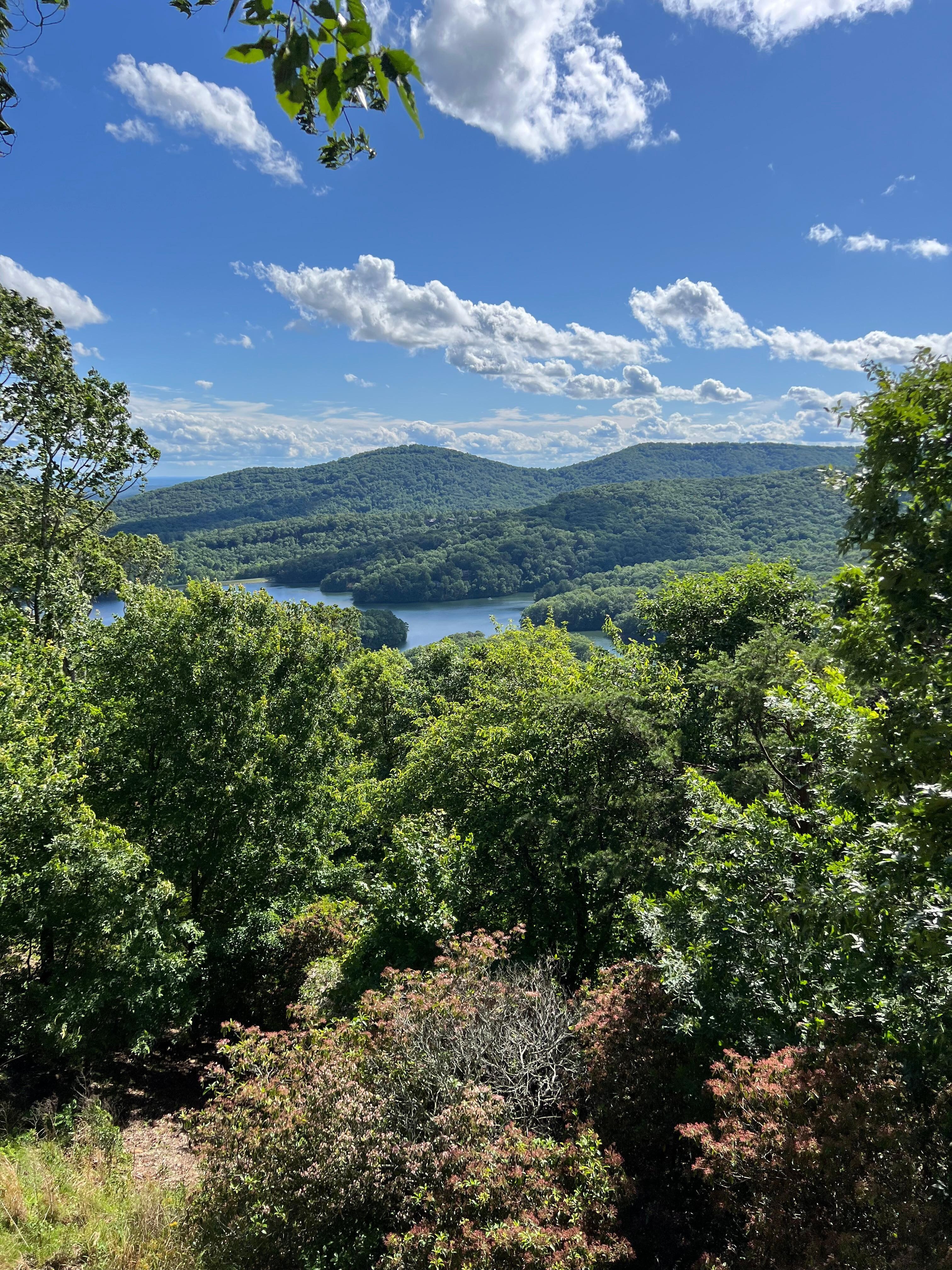 "A room with a heavenly view"
