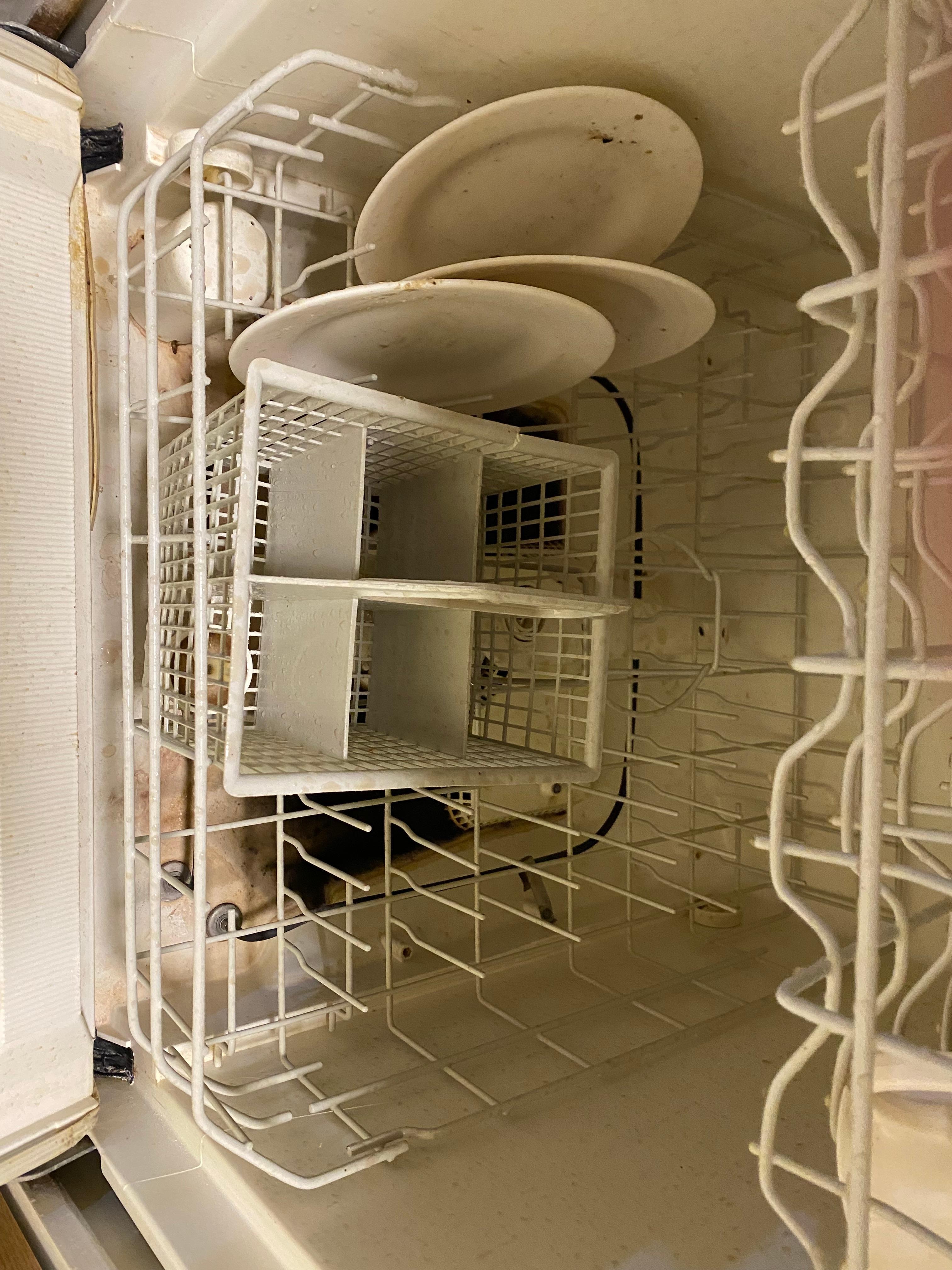 How can you cook in this place. 