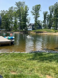 Wonderful little cove for the kiddos to hang out. The water was so warm.