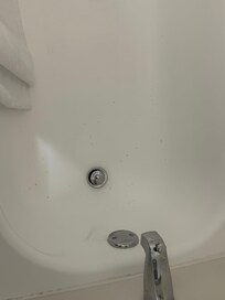 Dirt, mildew and mold in corners of the shower