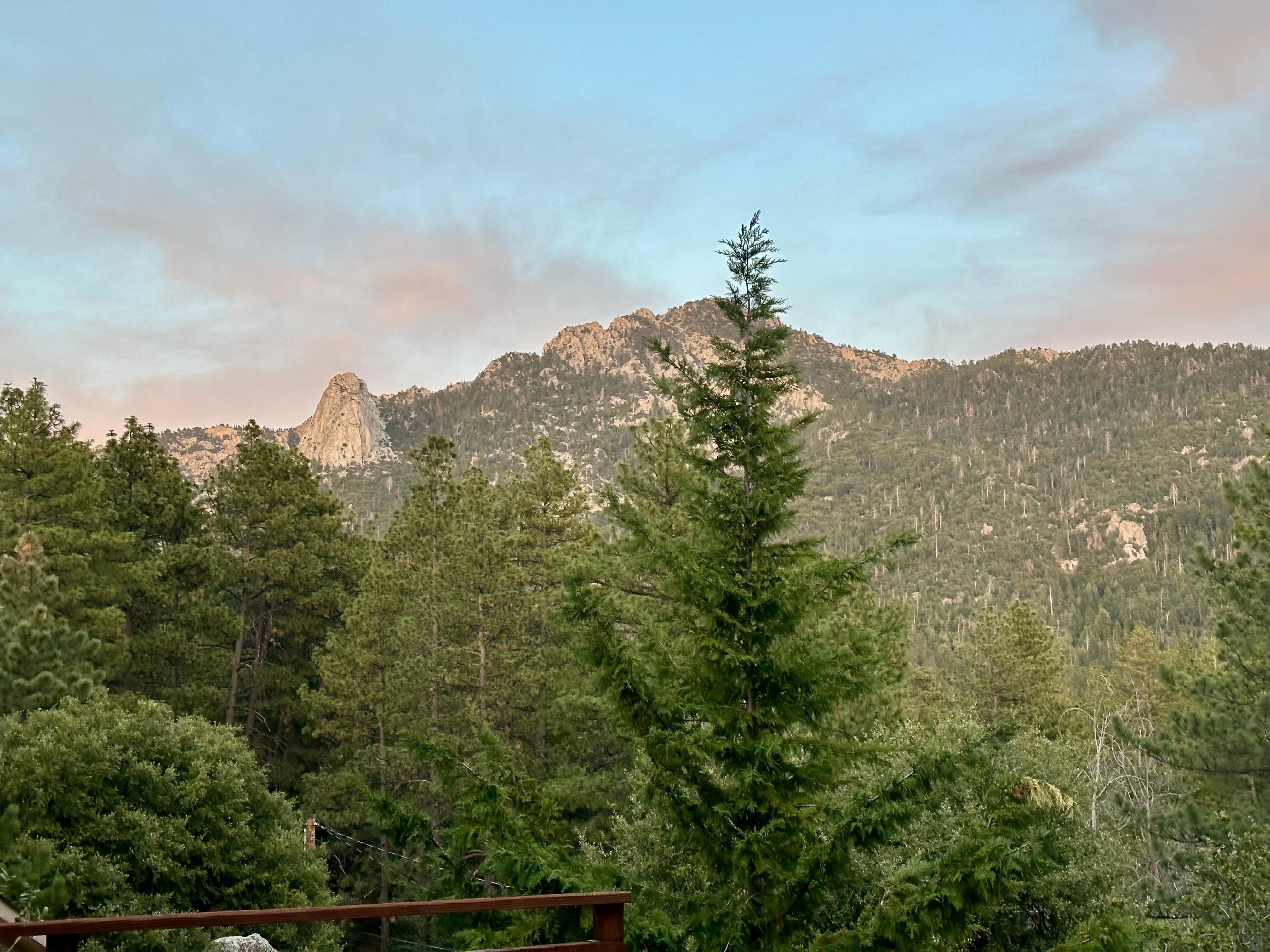 View from the front deck