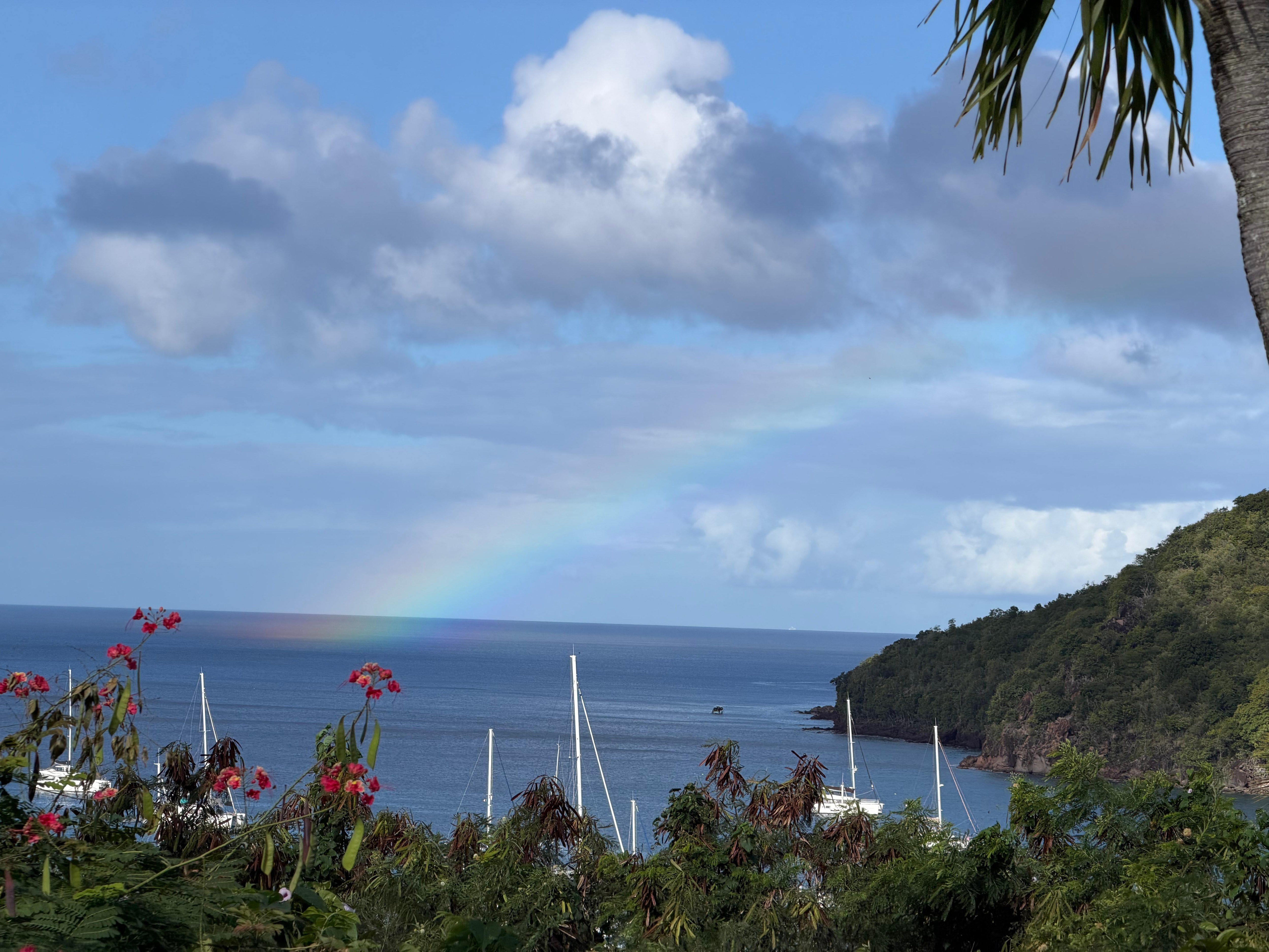 Backyard view - a morning rainbow surprise.