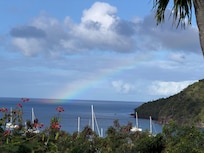 Backyard view - a morning rainbow surprise.