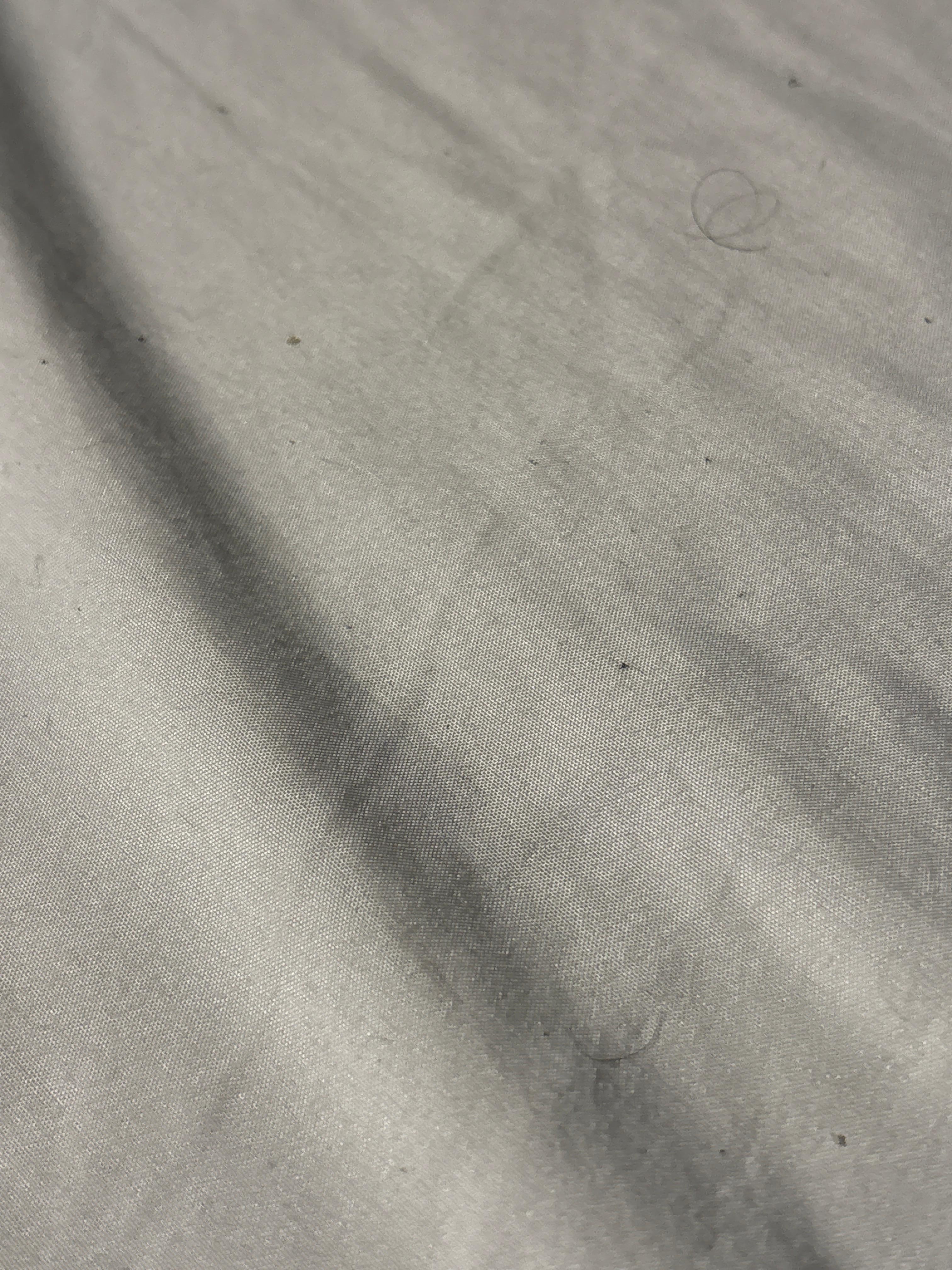 Sheets on bed, had hair,crumbs
