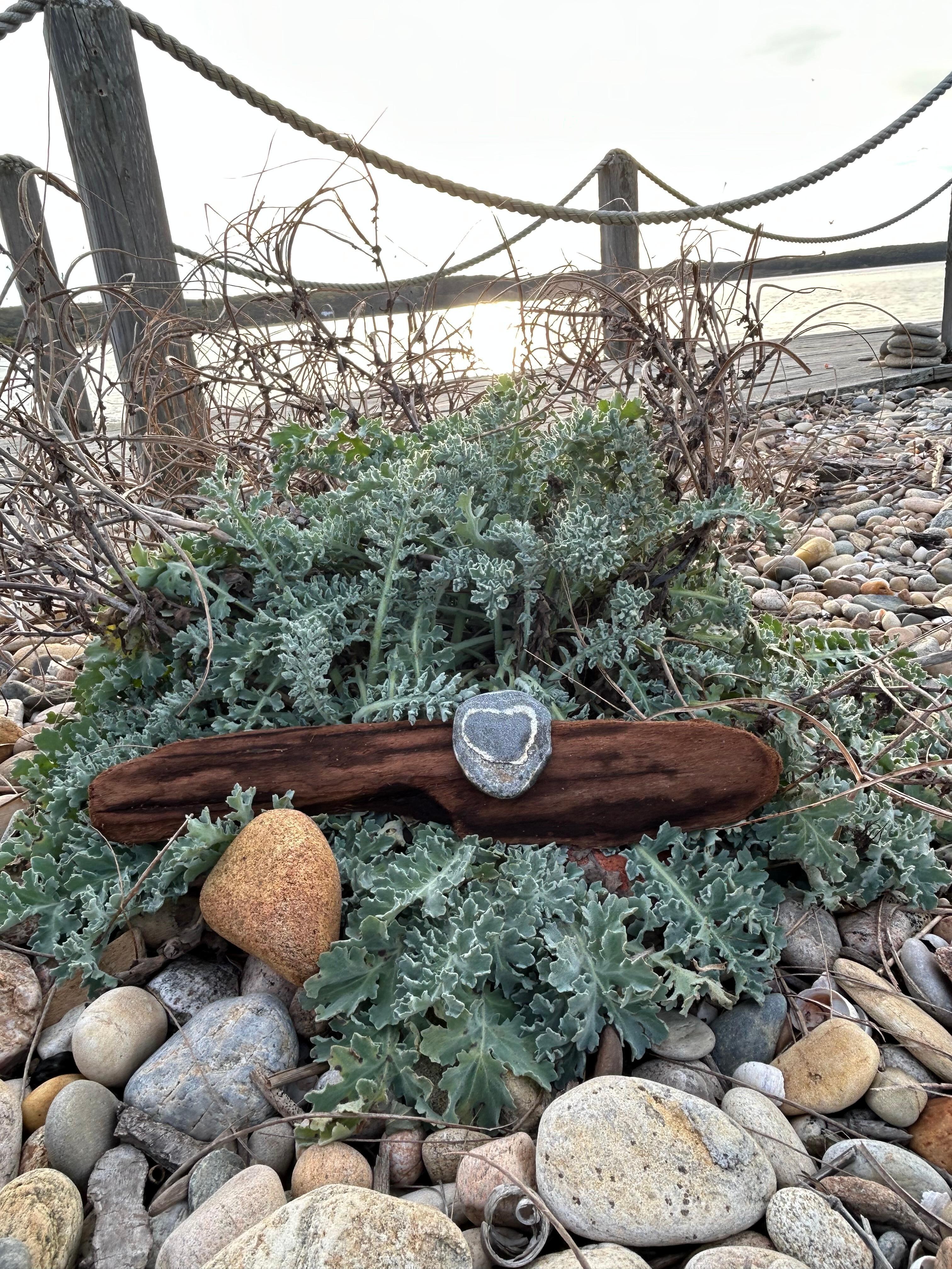 Found this heart down by the dock! 