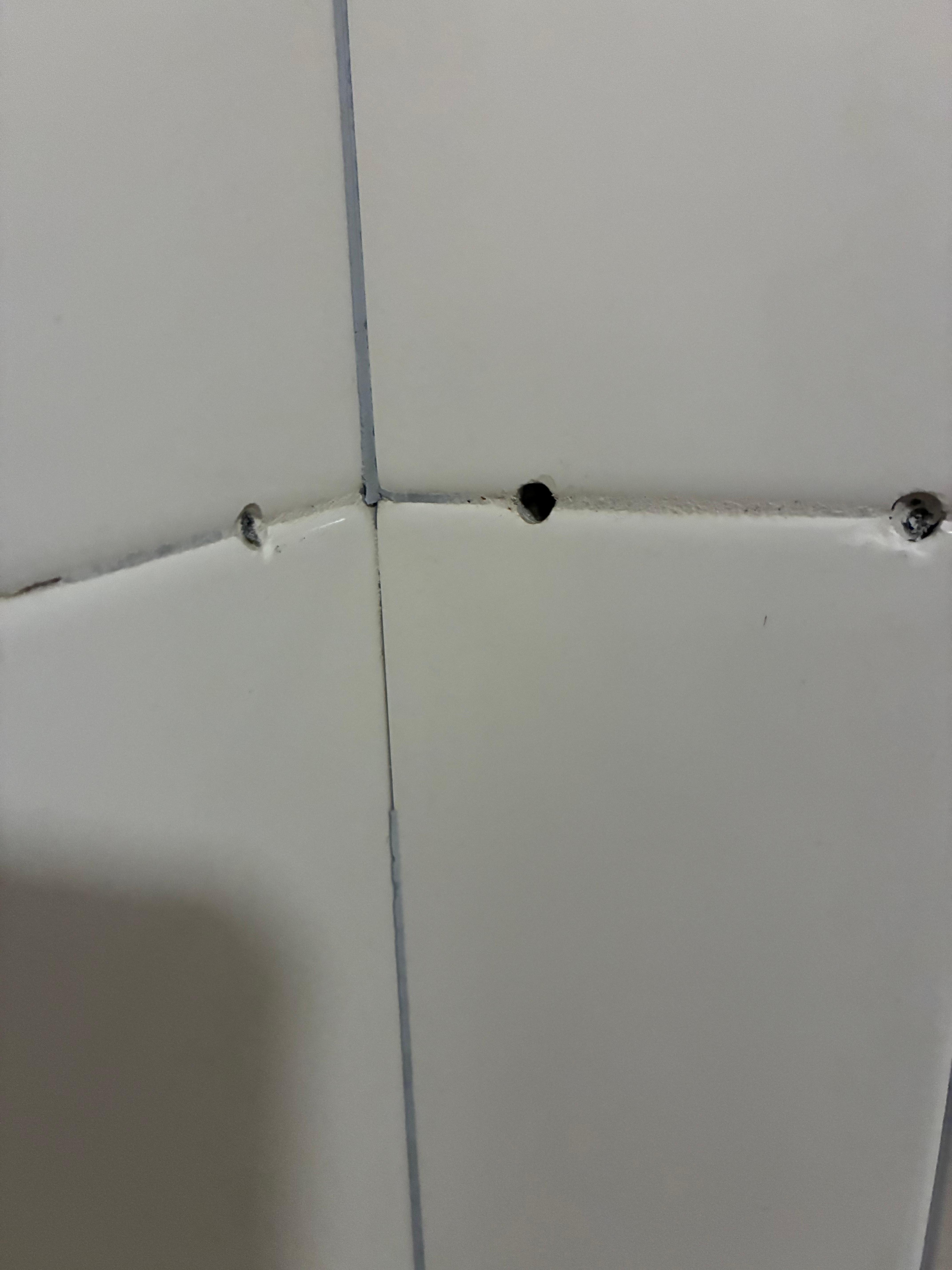 Holes in shower wall