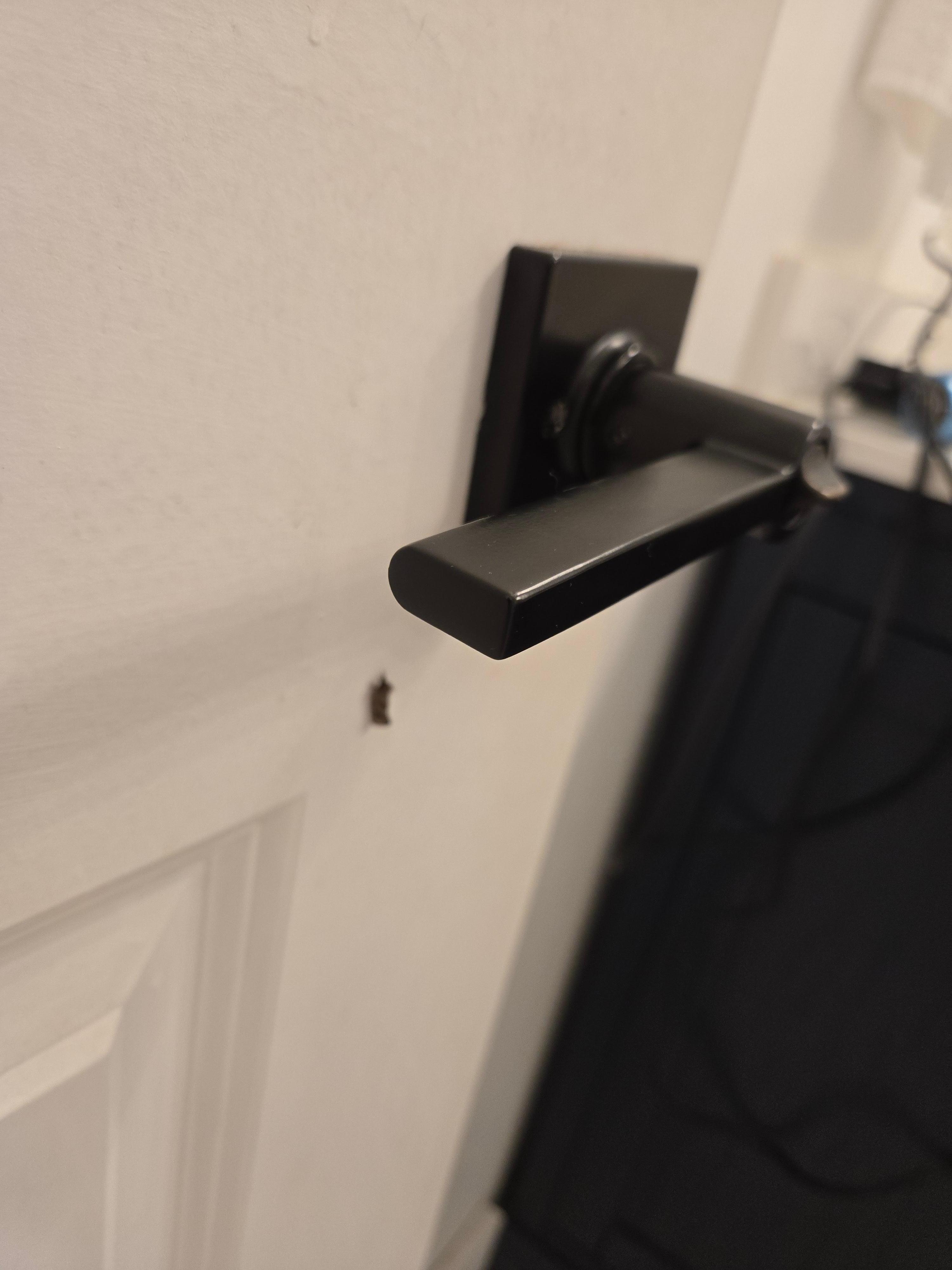 Bug by the handle in the bathroom 