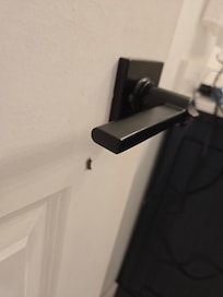 Bug by the handle in the bathroom