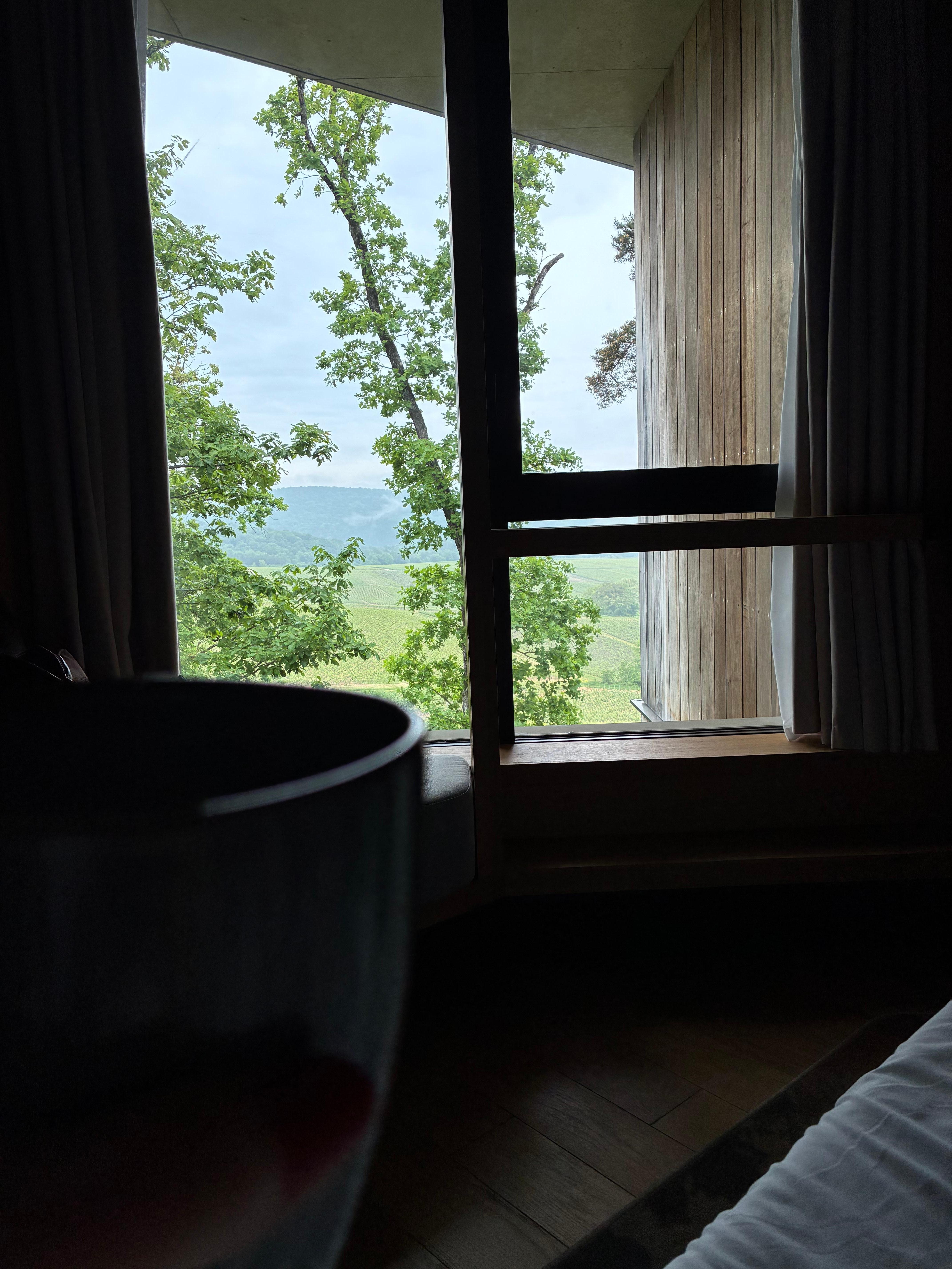 Utsikten från sängen med morgonkaffet