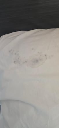 Moldy pillow