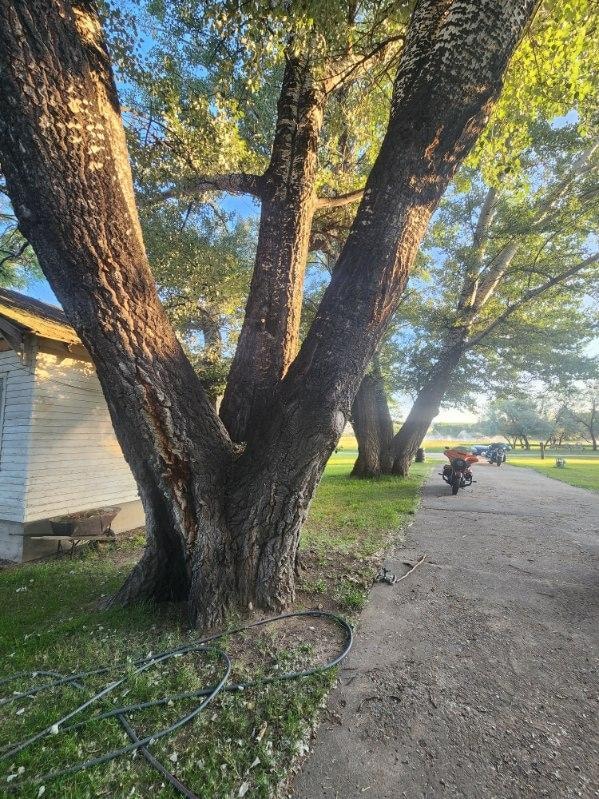 Long driveway.