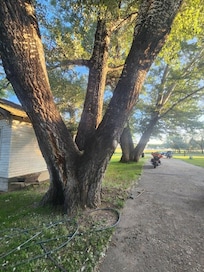 Long driveway.