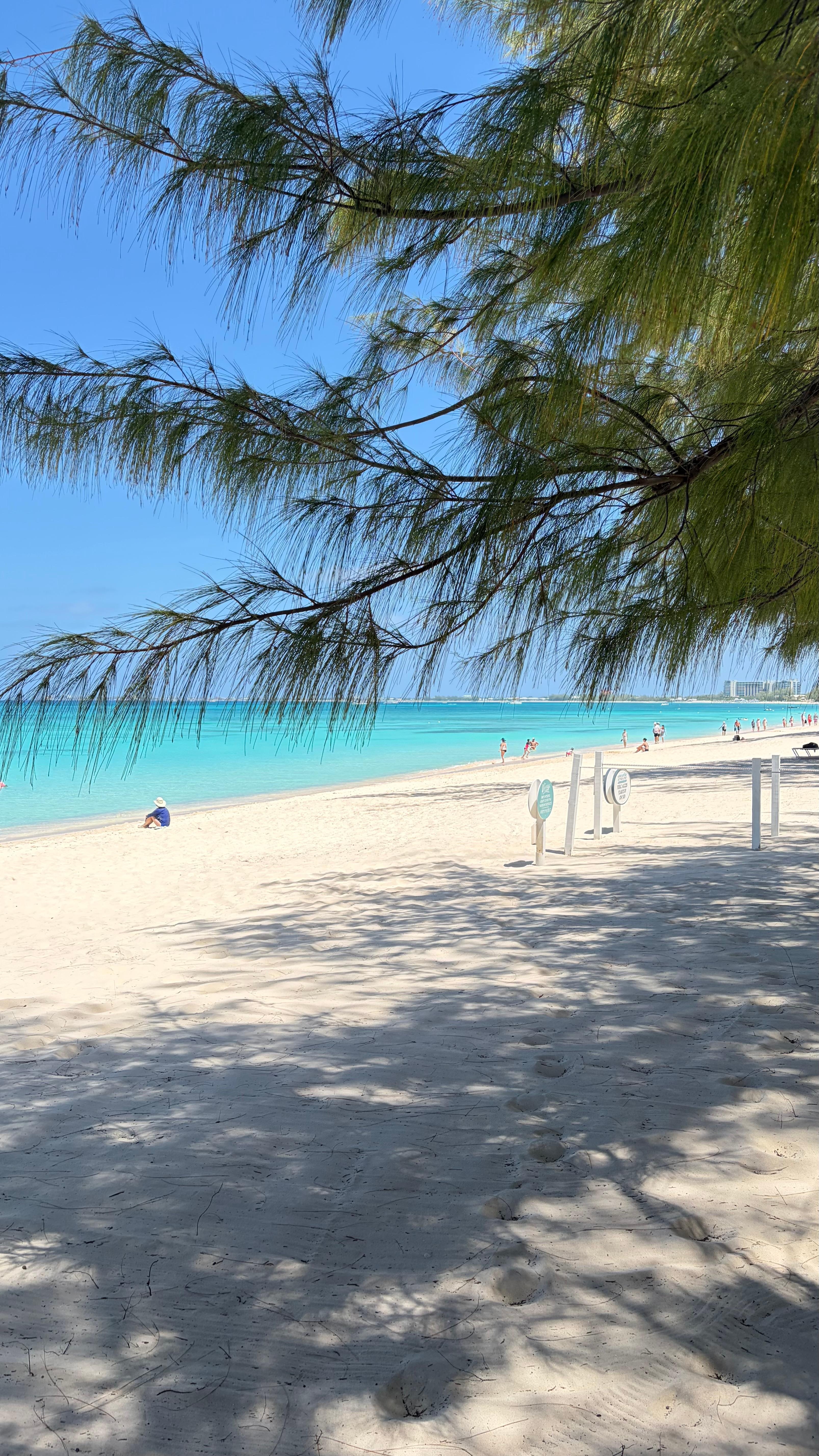 Beach in front of the condo. 