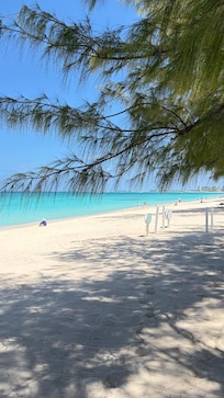 Beach in front of the condo.