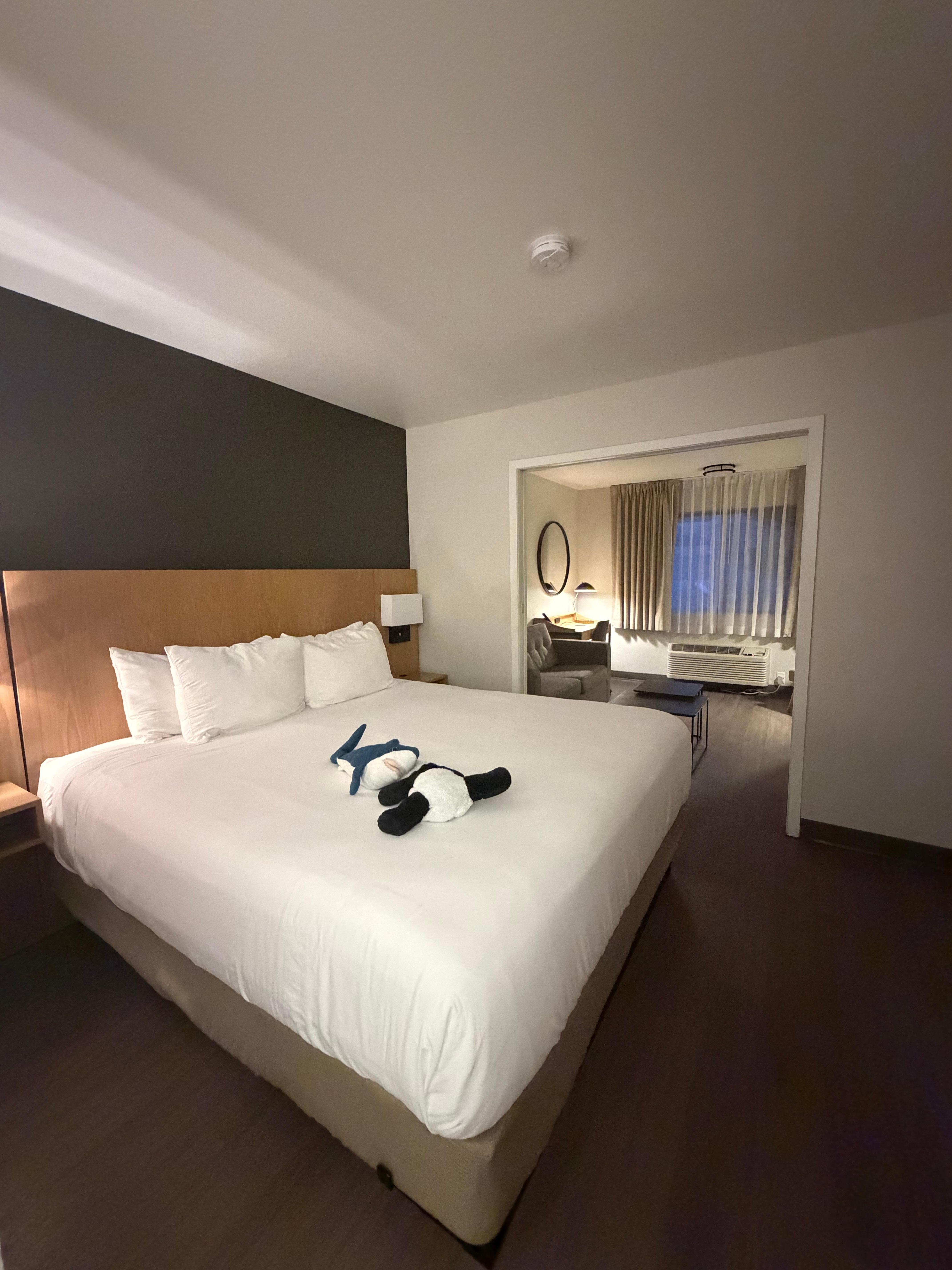 Very spacious room