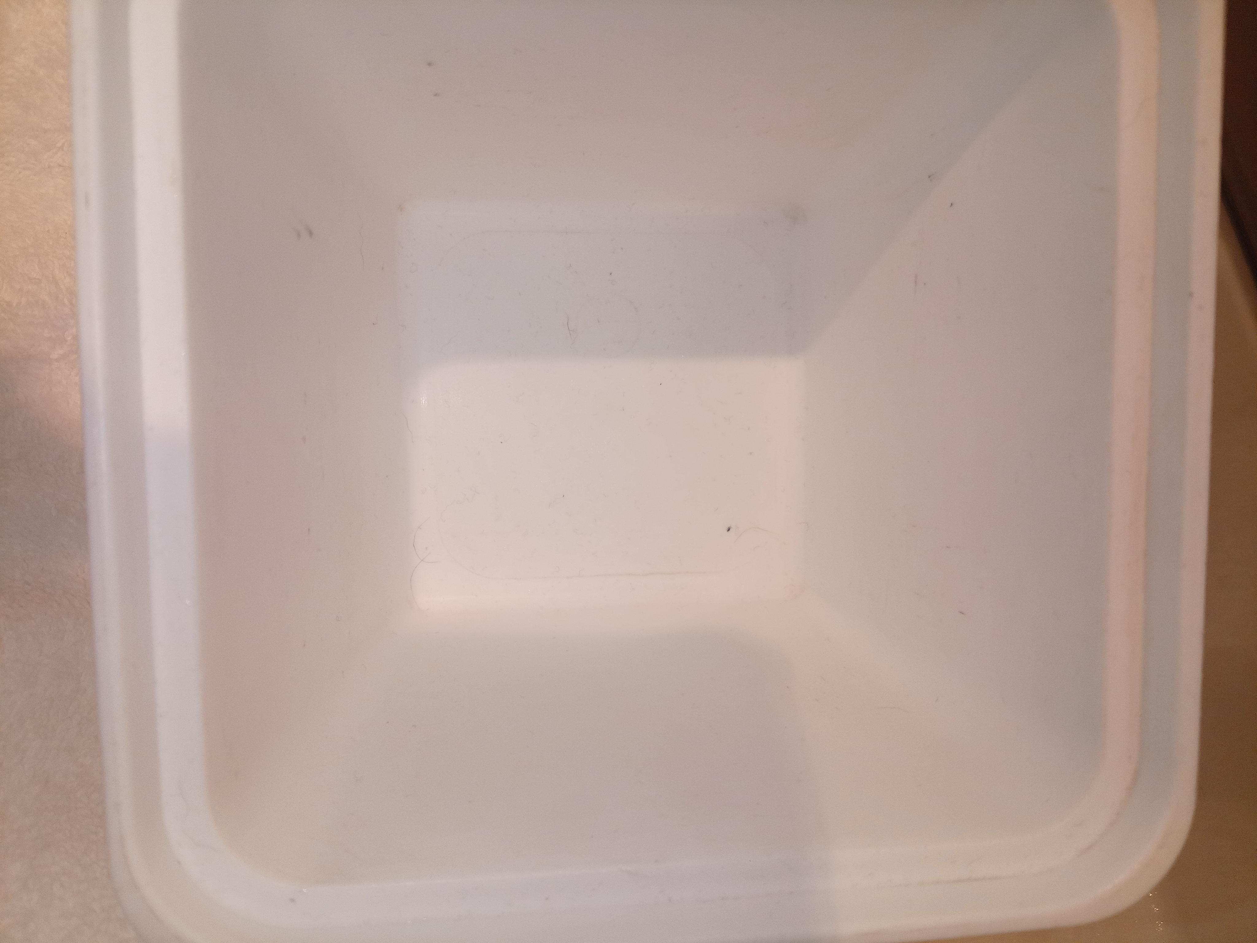 Our ice bucket full of hair and dirt or who knows what