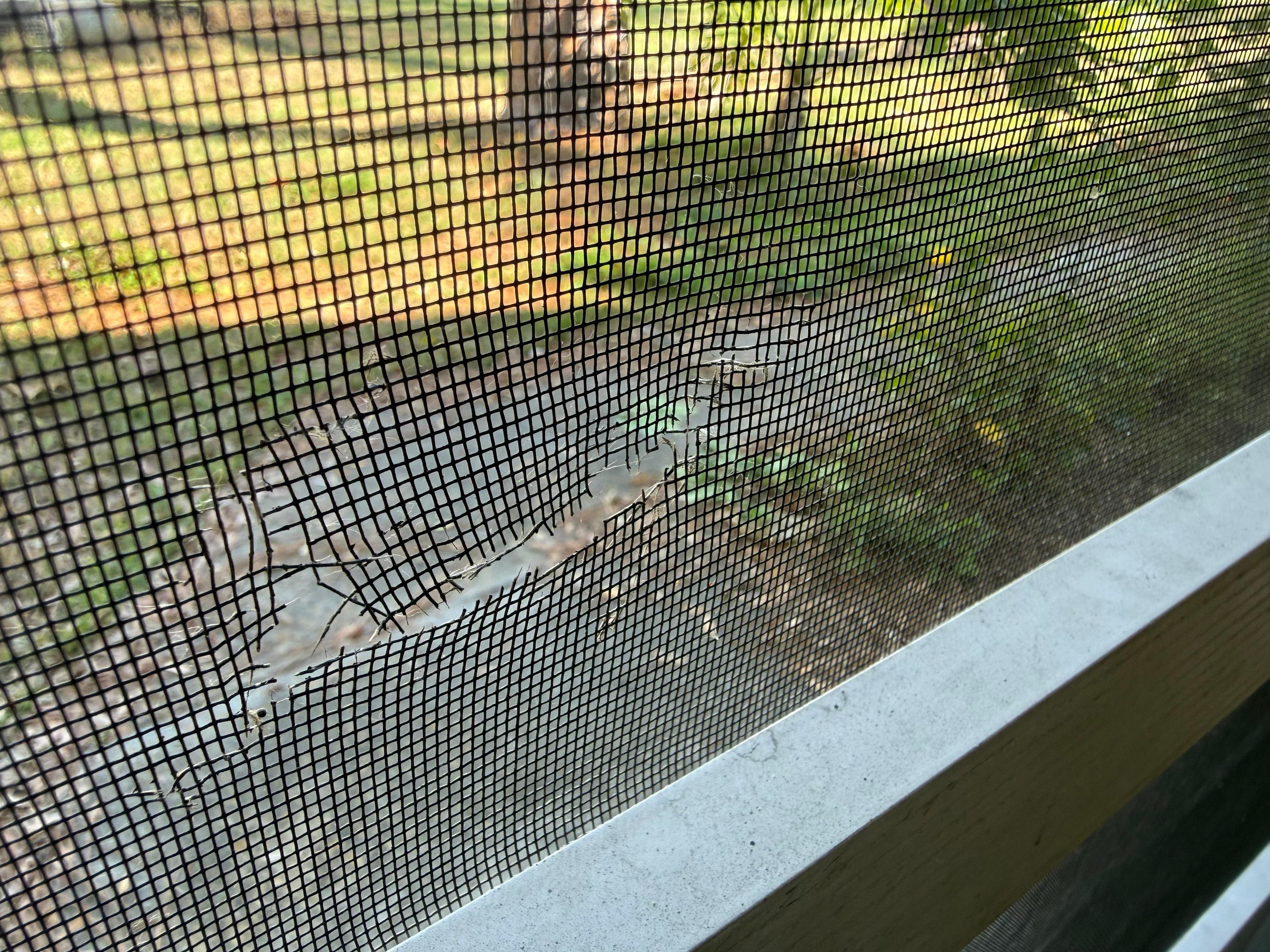 Damage that was on screened porch