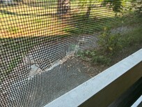 Damage that was on screened porch