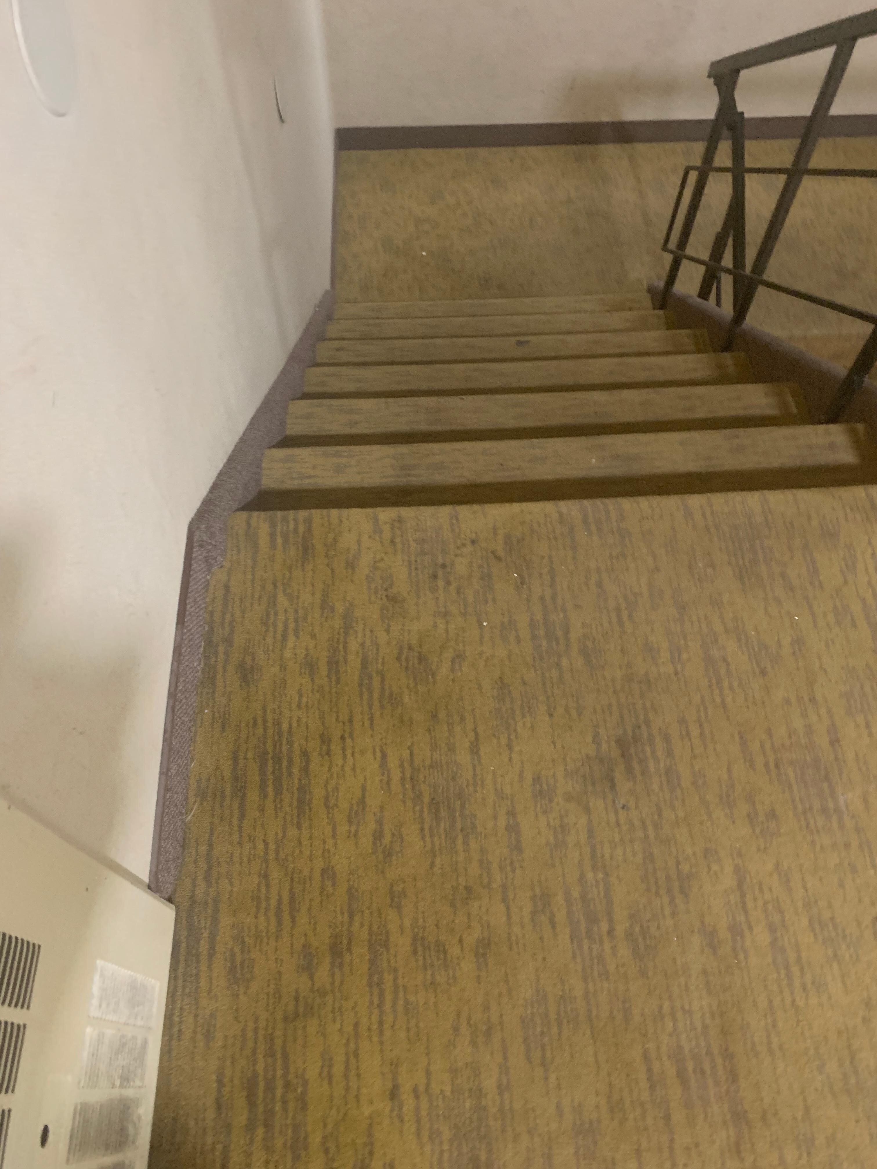 Filthy carpeting